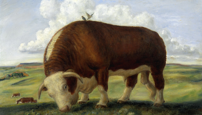 辅助开挂神器“铭心牛牛确实可以开挂”其实确实有挂 辅助开挂神器“铭心牛牛确实可以开挂”其实确实有挂