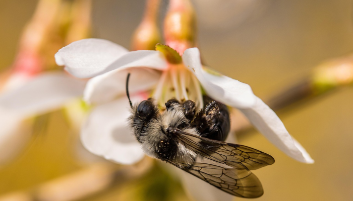 开挂辅助工具“蜜蜂众娱真的确实有挂”(透视)其实确实有挂 开挂辅助工具“蜜蜂众娱真的确实有挂”(透视)其实确实有挂