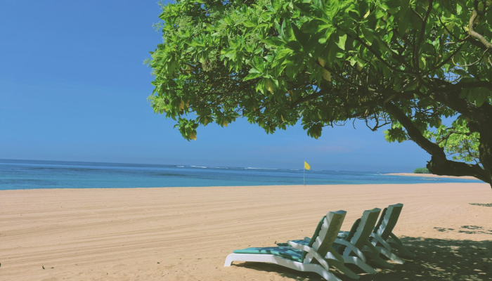 实测教程”八戒大厅开挂透视方法”2025开挂教程步骤