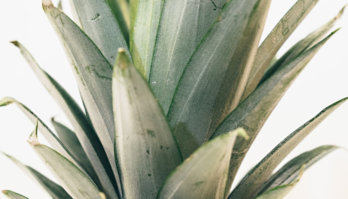 实测教程”17好友麻将巴彦麻将挂”其实确实有挂