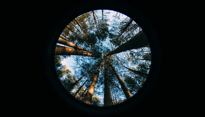 辅助开挂神器“梦幻情怀是不是有挂”其实确实有挂