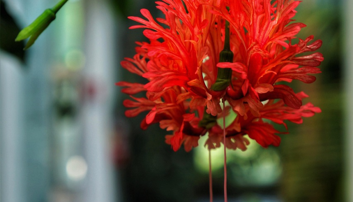 辅助开挂神器“同欣武汉花到底有挂吗”其实确实有挂