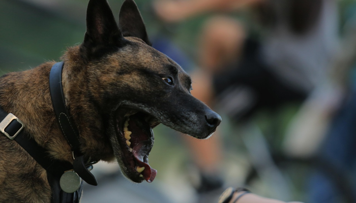 辅助开挂神器“HHpoker挂透视真的假的”分享必要外挂教程