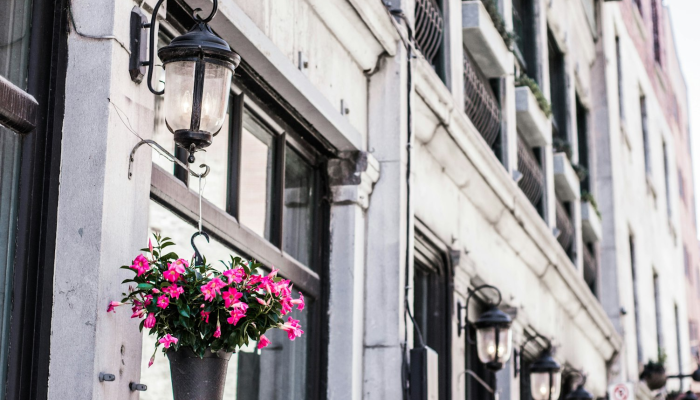 辅助开挂神器“江南苑苑可以开挂吗”分享用挂教程