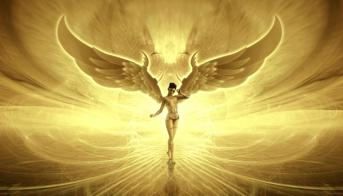 必看教程“九尾大厅牛牛万能开挂神器”太坑了真的有挂