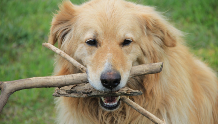 辅助神器“牵手跑得快能不能开挂”(透视)其实确实有挂