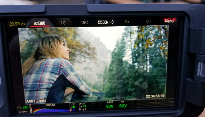 辅助神器“新道游开挂神器”(透视)其实确实有挂