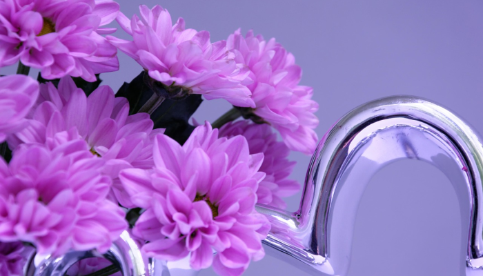 开挂辅助工具“开心武汉花确实真的有挂”(透视)其实确实有挂