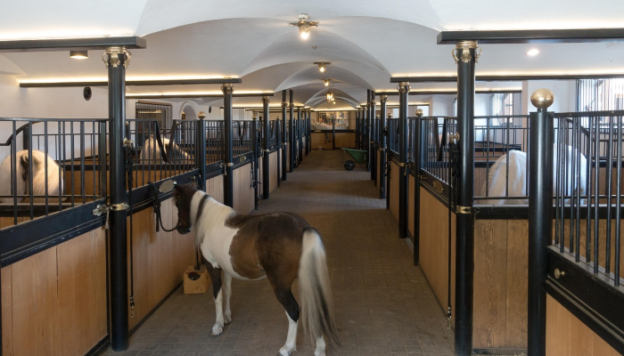 辅助开挂神器“一方大厅透视挂”开挂详细教程