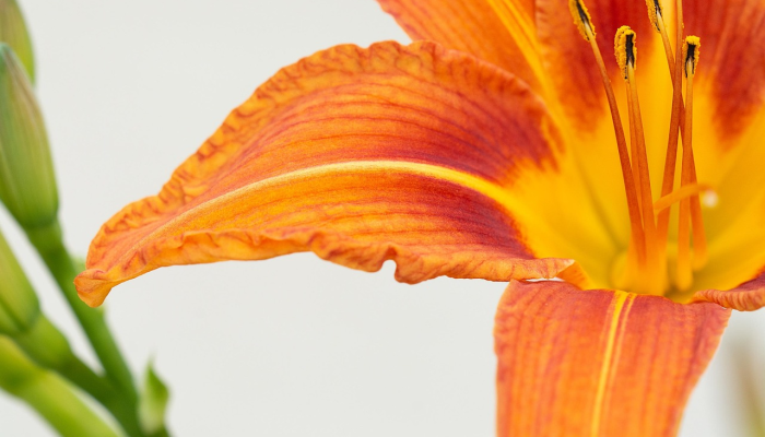 必看教程“樱花梦雨真的有挂吗”确实可以使用辅助
