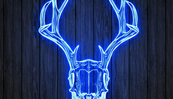 限时分享“卡农牛牛有没有挂”开挂详细教程 限时分享“卡农牛牛有没有挂”开挂详细教程