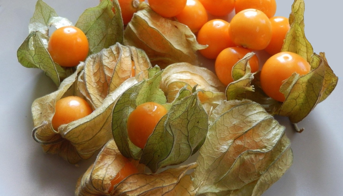 辅助开挂神器“水果汇确实是有挂”开挂详细教程