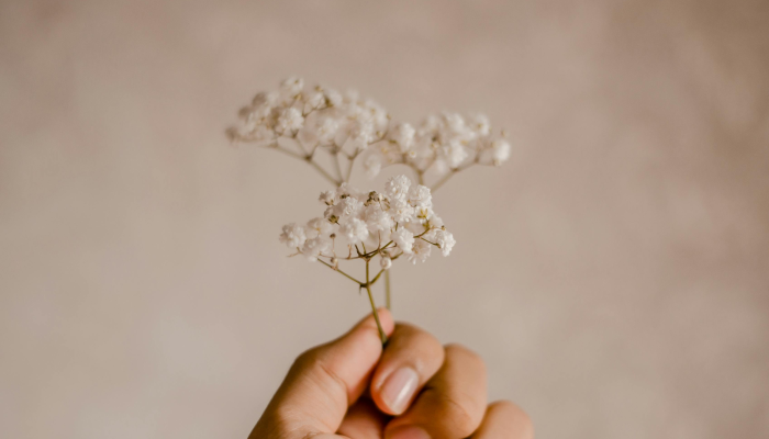 辅助神器“花花生活圈外卦神器”其实确实有挂 辅助神器“花花生活圈外卦神器”其实确实有挂