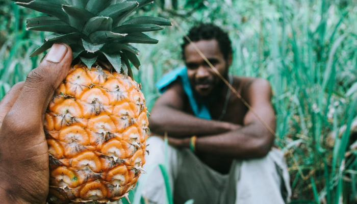 限时分享“七八九大菠萝可以透视吗”开挂详细教程