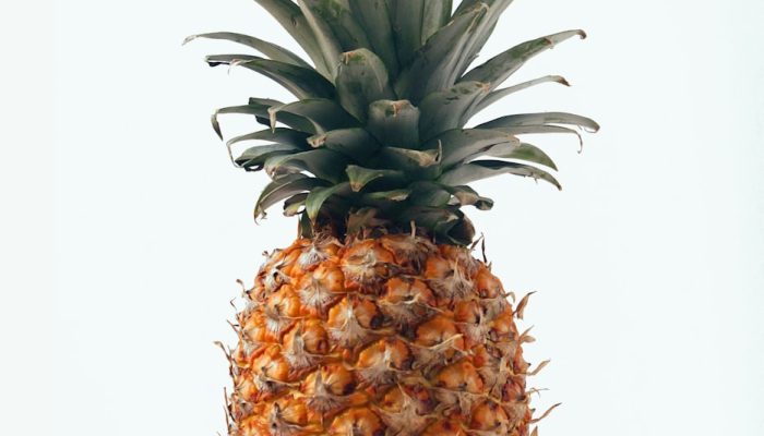 辅助神器“哈糖大菠萝可以开挂吗”其实确实有挂 辅助神器“哈糖大菠萝可以开挂吗”其实确实有挂