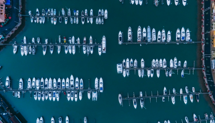 限时分享“广水四色有挂吗专用神器”开挂详细教程