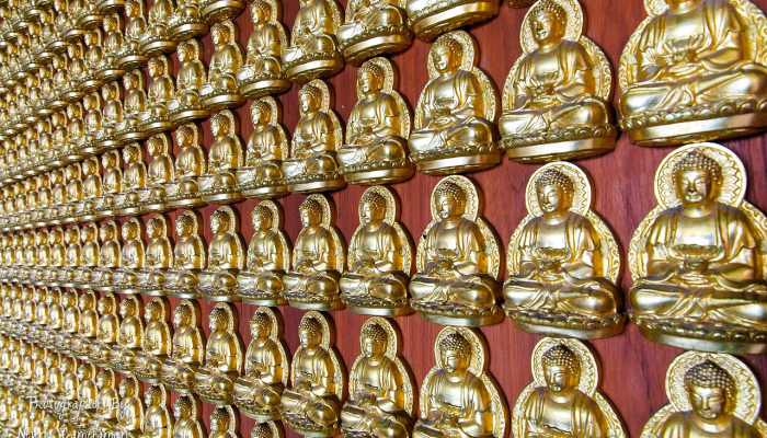 限时分享“云南山水麻将开挂多少钱”开挂详细教程 限时分享“云南山水麻将开挂多少钱”开挂详细教程