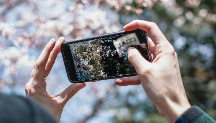 辅助神器“手机小程序微乐麻将怎么开挂”(透视)其实确实有挂
